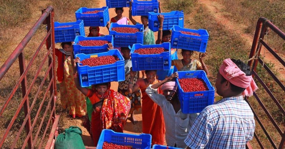 Gems of Araku 2021 идва при нас