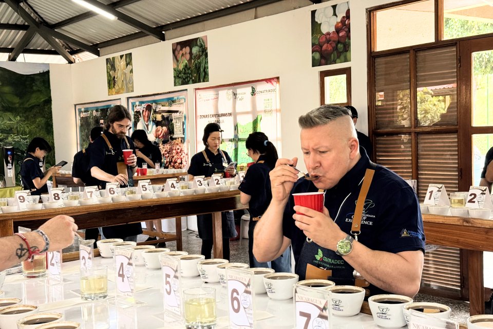 Cup of Excellence & DABOV: Пътешествие из най-добрите кафета в света