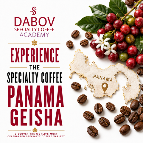 Experience the specialty coffee Панама Геша
