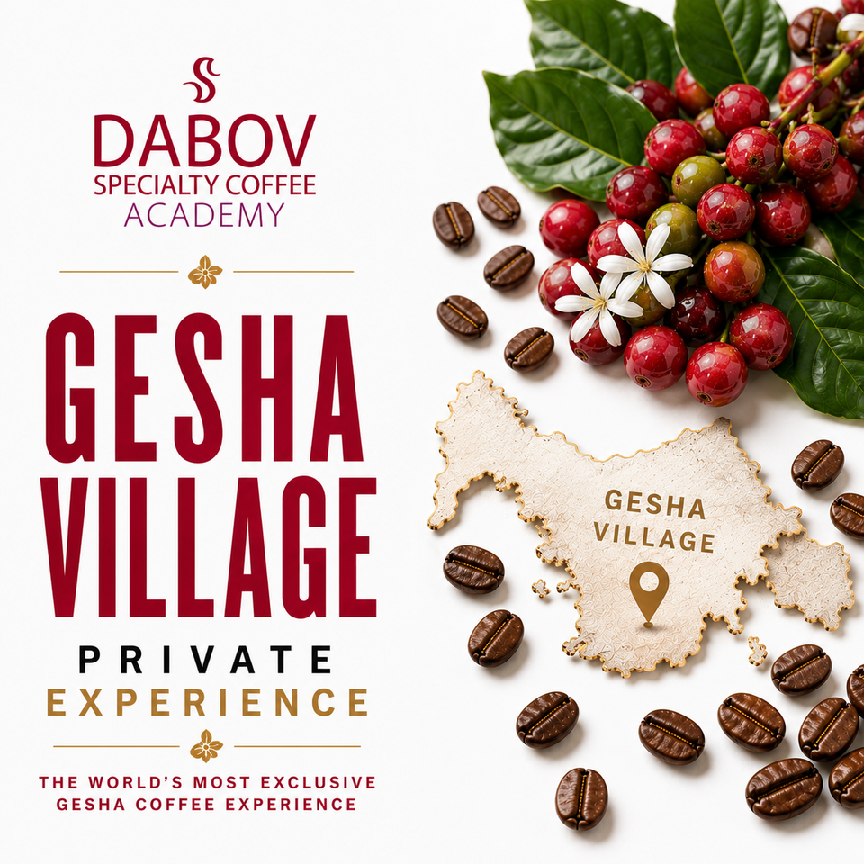 GESHA VILLAGE EXPERIENCE