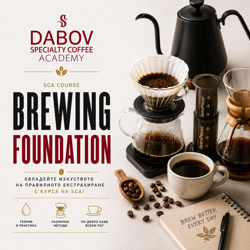Обучение - SCA Brewing Foundation